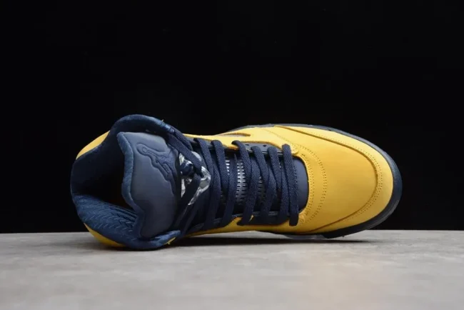 Aj 5 Retro Michigan