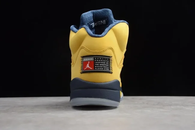 Aj 5 Retro Michigan