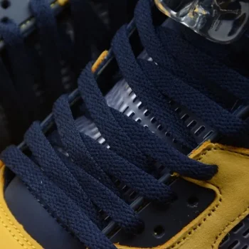 Aj 5 Retro Michigan