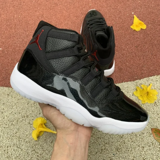 AJ 11 Retro 72-10