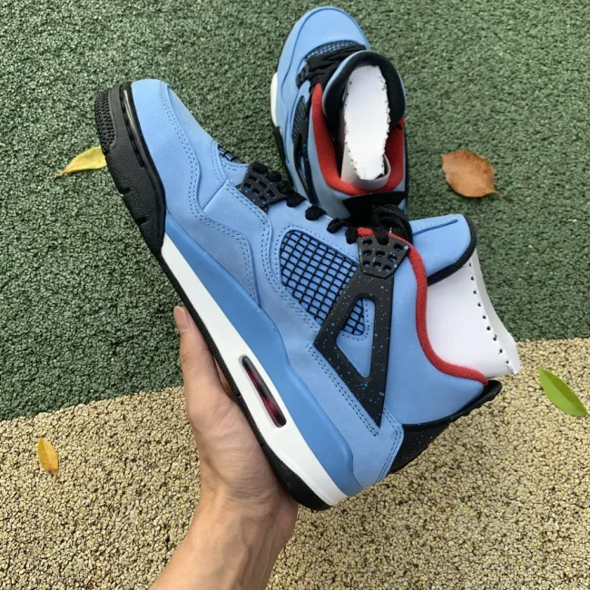 Tscott X AJ 4 Retro Cactus Jack