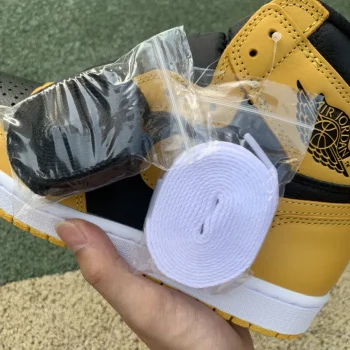 AJ 1 Retro High Og Pollen