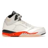 Aj 5 Retro Shattered Backboard