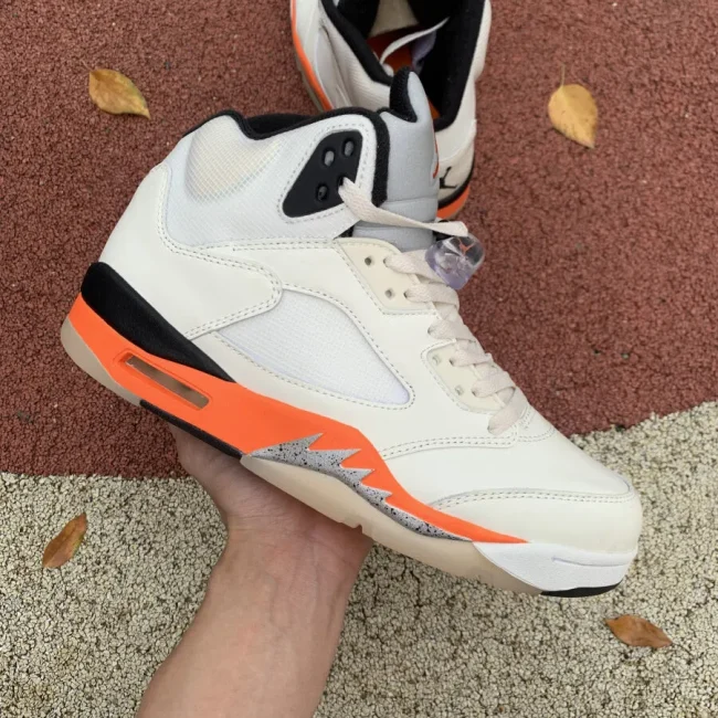 Aj 5 Retro Shattered Backboard