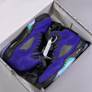 Aj 5 Retro Alternate Grape