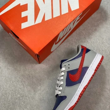 Dunk Low Retro Samba 2020