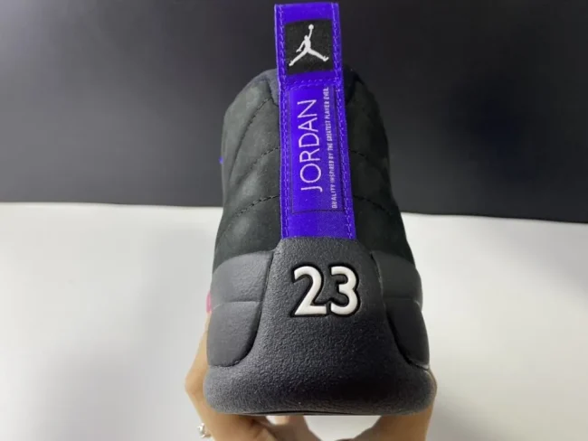 AJ 12 Retro Dark Concord