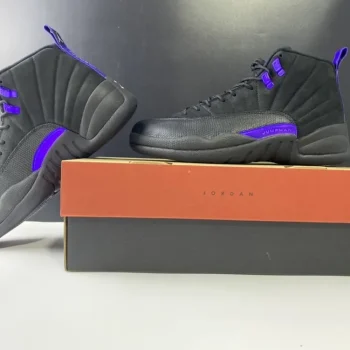 AJ 12 Retro Dark Concord