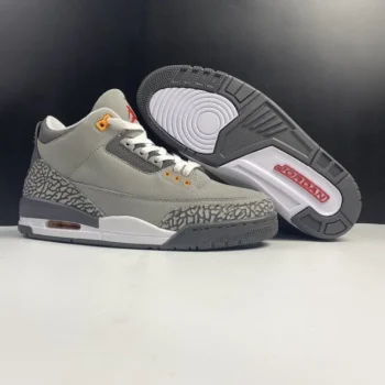 AJ 3 Retro Cool Grey 2021