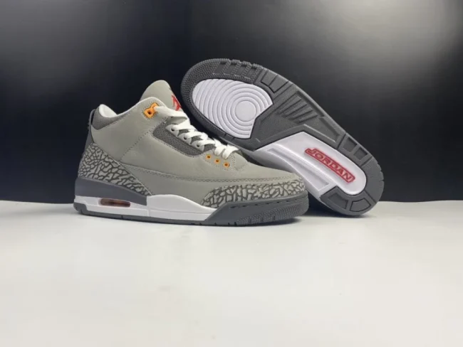 AJ 3 Retro Cool Grey 2021