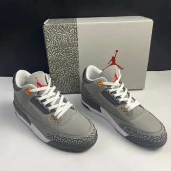 AJ 3 Retro Cool Grey 2021