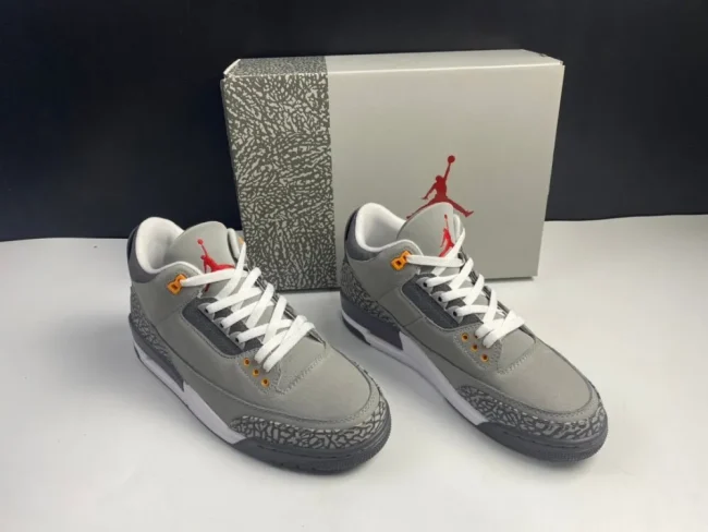 AJ 3 Retro Cool Grey 2021