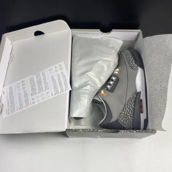 AJ 3 Retro Cool Grey 2021