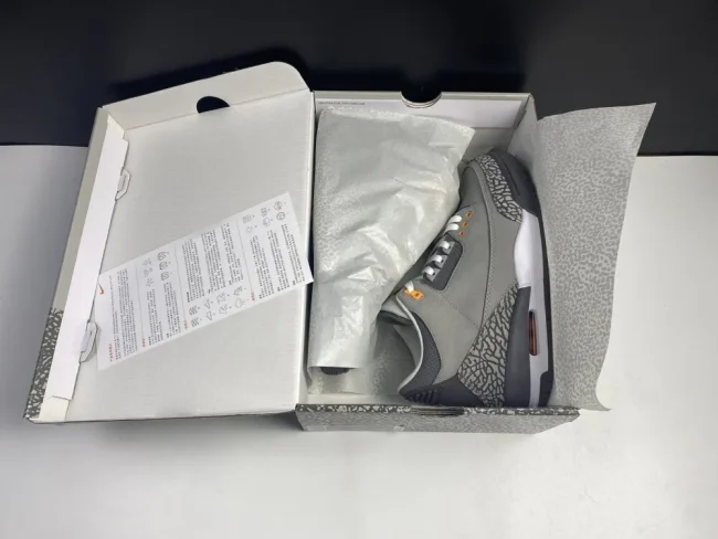 AJ 3 Retro Cool Grey 2021