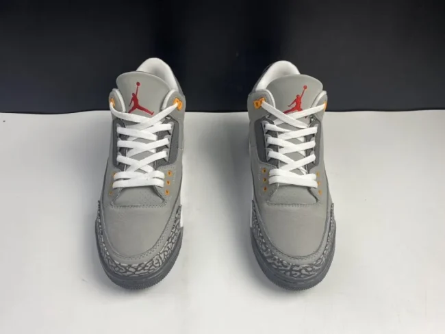 AJ 3 Retro Cool Grey 2021