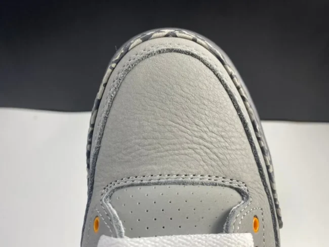 AJ 3 Retro Cool Grey 2021