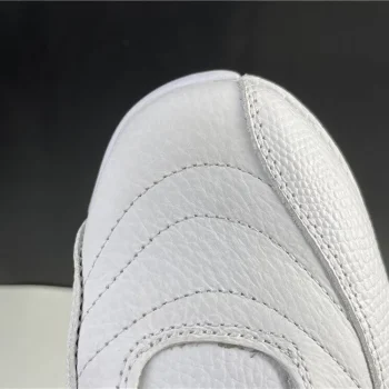 AJ 12 Retro Twist