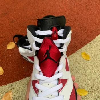 Aj 6 Retro Carmine