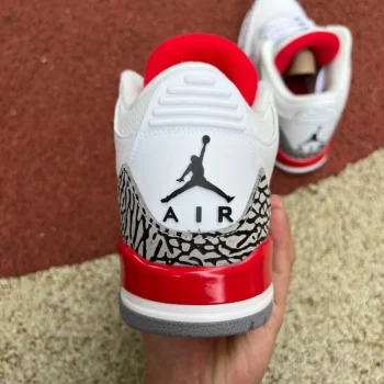 AJ 3 Retro Hall Of Fame