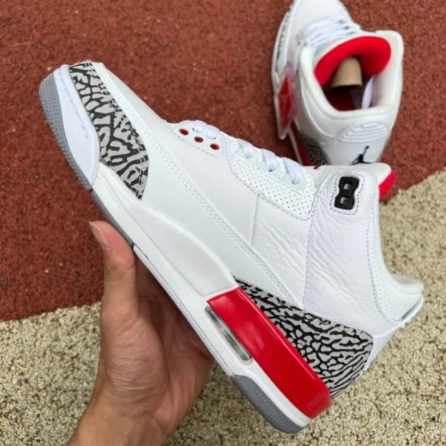 AJ 3 Retro Hall Of Fame