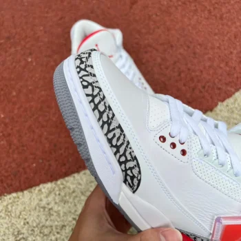 AJ 3 Retro Hall Of Fame