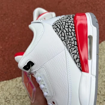 AJ 3 Retro Hall Of Fame