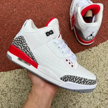 AJ 3 Retro Hall Of Fame