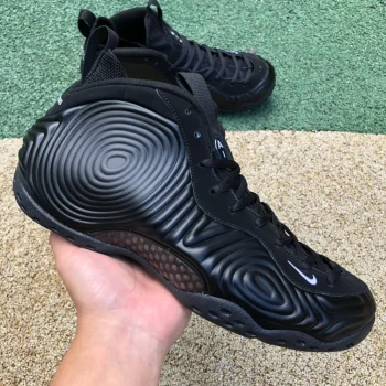 Comme Des Garcons Homme Plus X Air Foamposite One Black