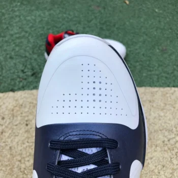 Zoom Kobe 5 Usa