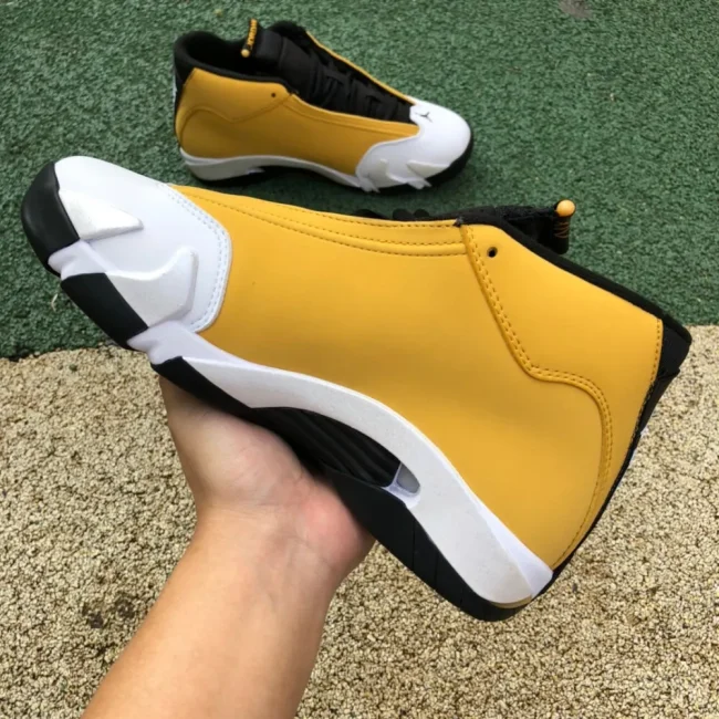 AJ 14 Retro Ginger