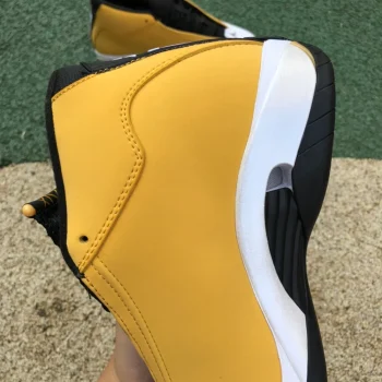 AJ 14 Retro Ginger