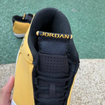 AJ 14 Retro Ginger