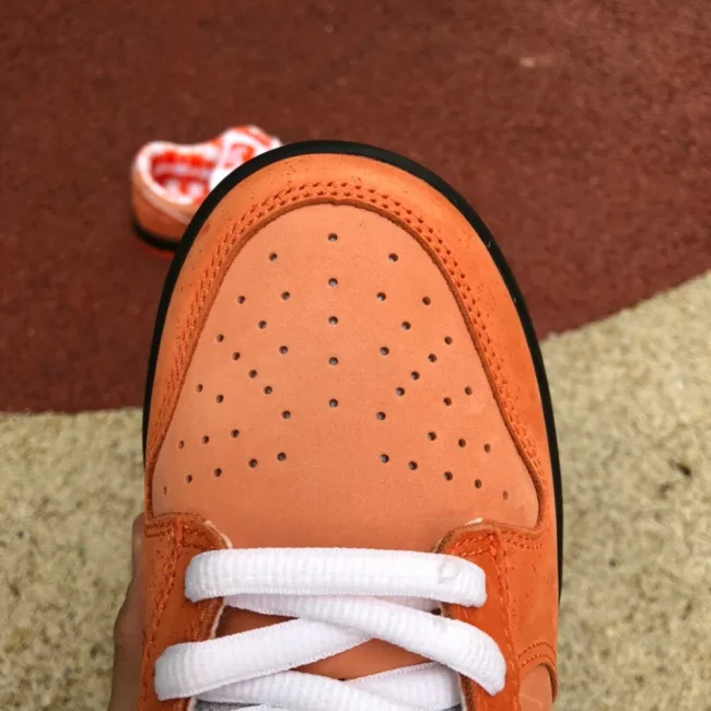 Dunk Low Sb Concepts Orange Lobster