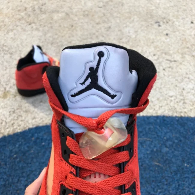 Aj 5 Retro Dunk On Mars