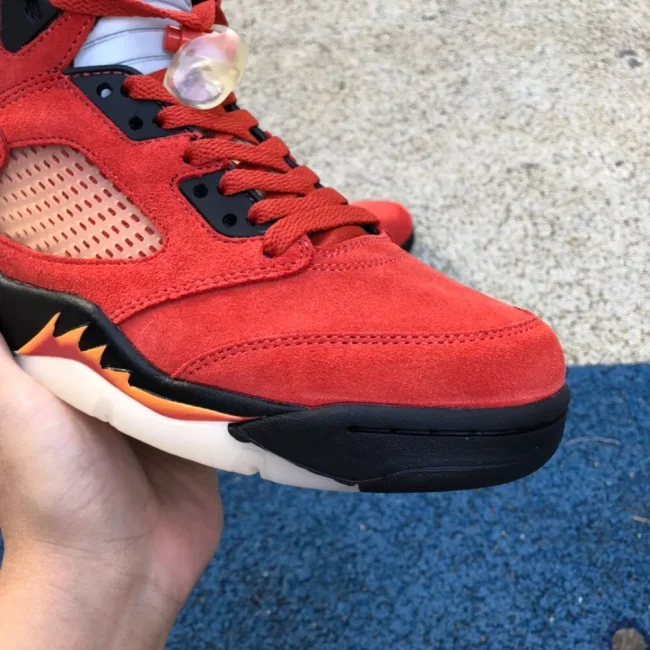 Aj 5 Retro Dunk On Mars