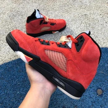 Aj 5 Retro Dunk On Mars