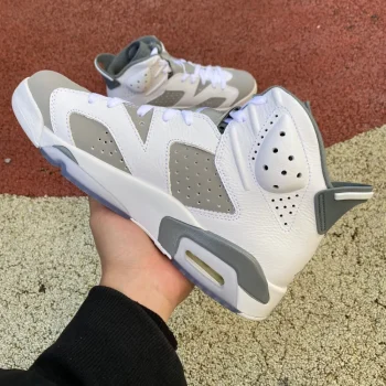 Aj 6 Retro Cool Grey