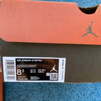 AJ 12 Retro Brilliant Orange