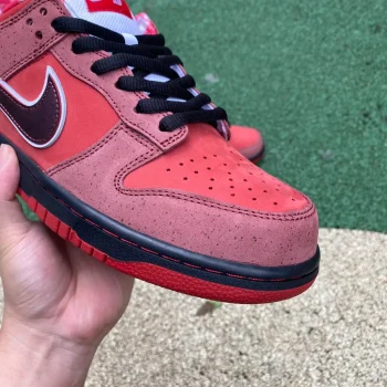 Dunk Low Premium Sb Lobster