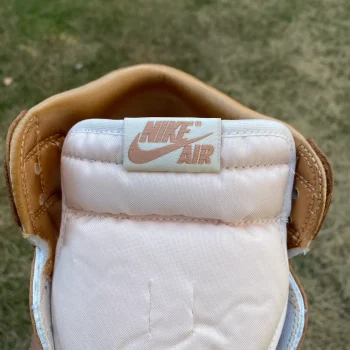 AJ 1 Retro High Og Praline