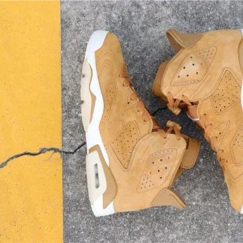 Aj 6 Retro Wheat