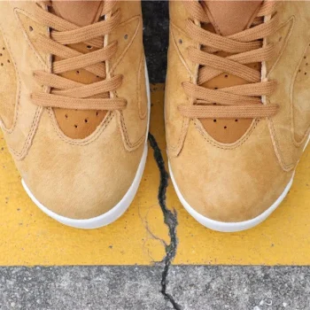 Aj 6 Retro Wheat