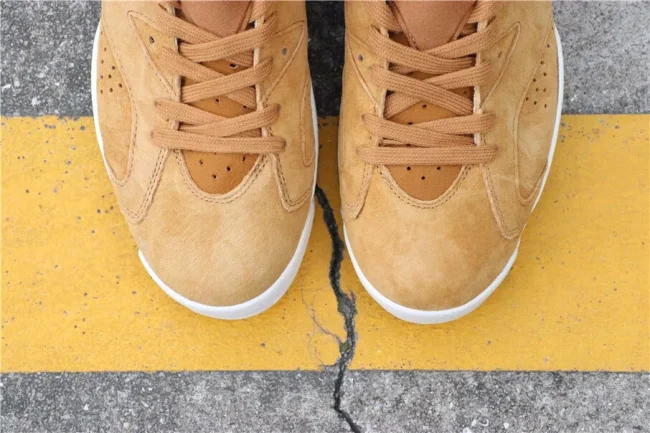 Aj 6 Retro Wheat