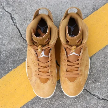 Aj 6 Retro Wheat