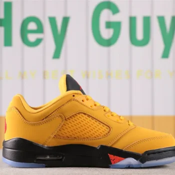 Aj 5 Retro Low Chutney