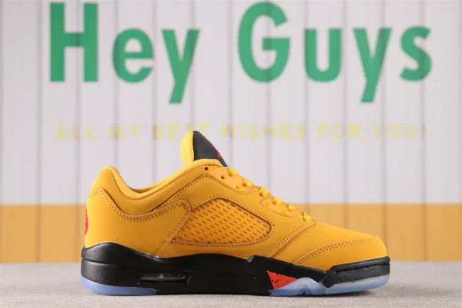 Aj 5 Retro Low Chutney