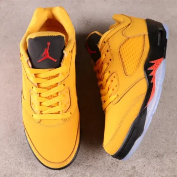 Aj 5 Retro Low Chutney