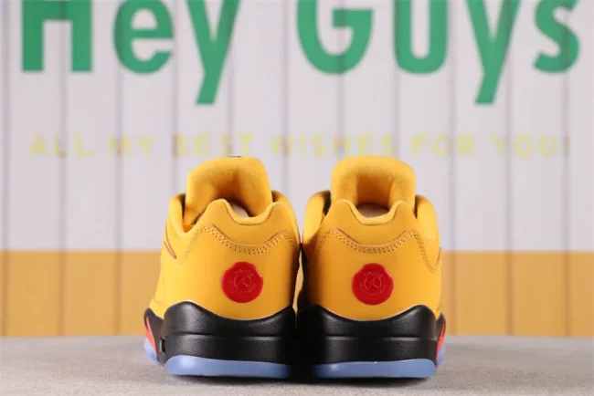 Aj 5 Retro Low Chutney