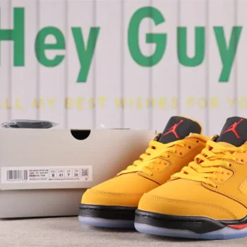 Aj 5 Retro Low Chutney