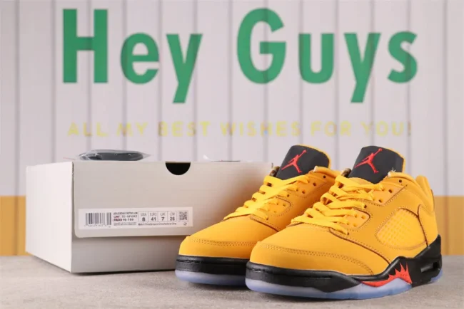 Aj 5 Retro Low Chutney